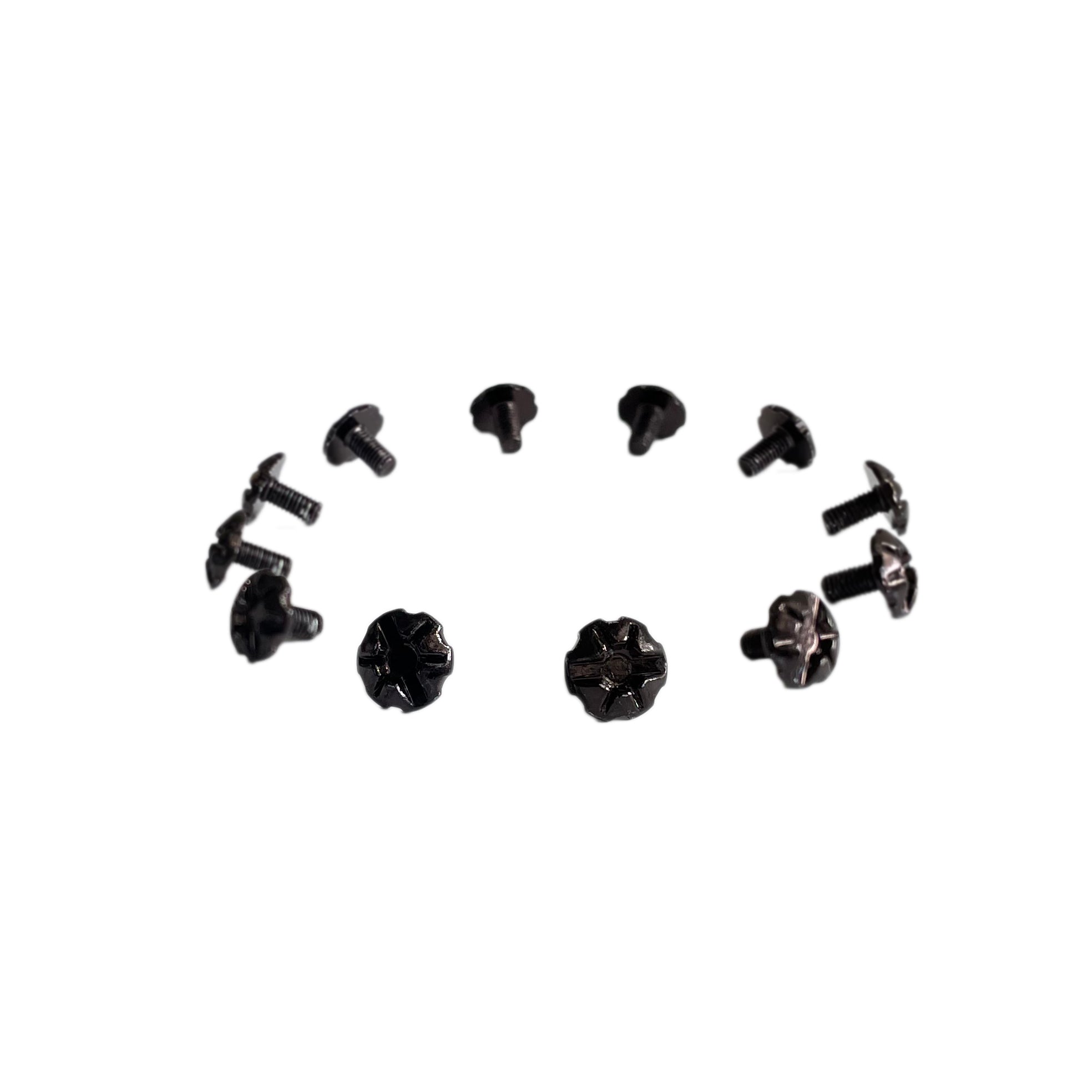 LUMINARY VISOR SCREWS (10PCS)